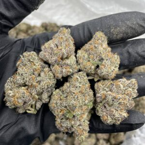 Cream Soda Marijuana Strain