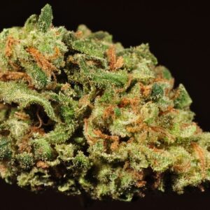 Northern Lights Marijuana Strain