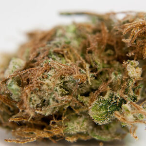 AK-47 Marijuana Strain Information & Reviews