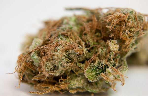 AK-47 Marijuana Strain Information & Reviews