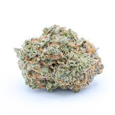 Chocolope Marijuana Strain