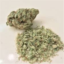 Haze Marijuana Strain